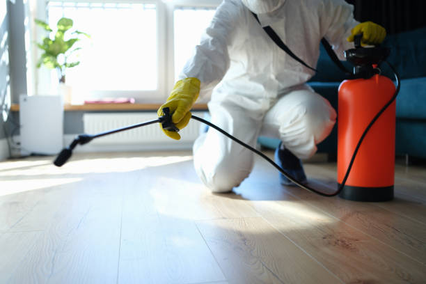 Flea Control Services in Mcdonough, GA