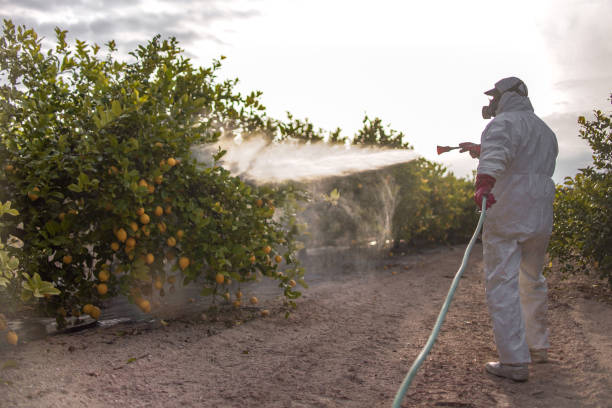Best Pest Prevention Services  in Mcdonough, GA