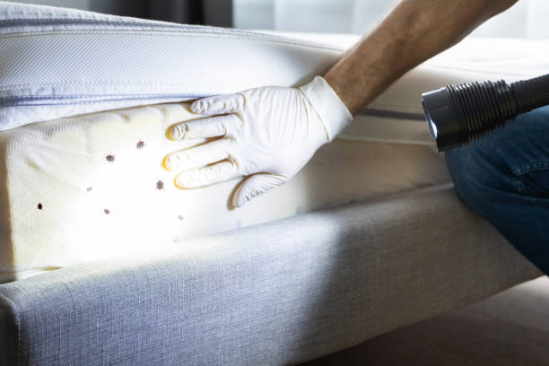 Best Exterminator Services  in Mcdonough, GA
