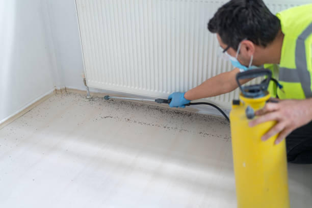 Best Affordable Pest Control Services  in Mcdonough, GA