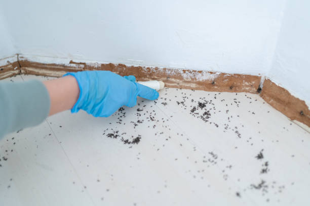 Best Pest Prevention Services  in Mcdonough, GA